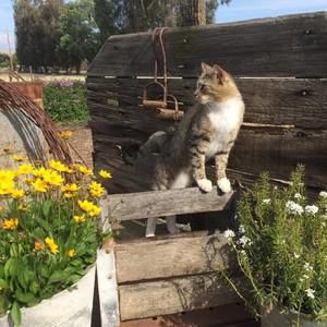 Meet your Posher, Jason-diana